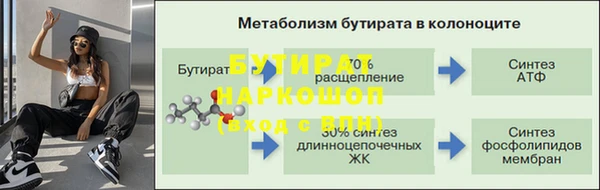 гидра Майский