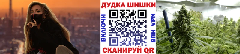 Шишки марихуана AK-47  omg вход  Сольвычегодск 